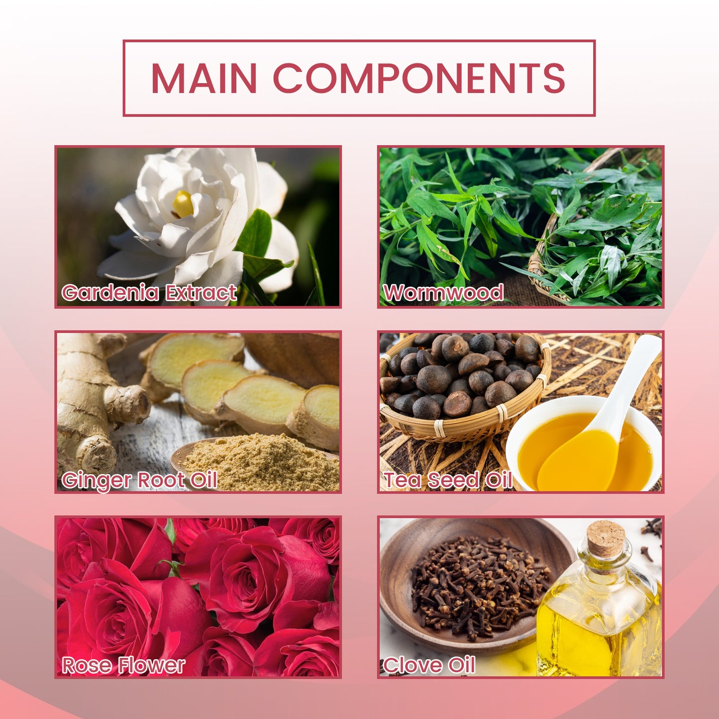 Curvelea™- Bio Massage Oil